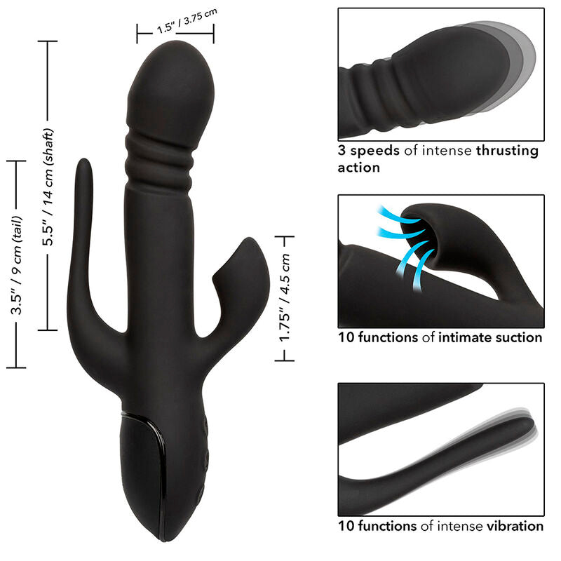 CALEXOTICS - VIBRATOR TRIPLE EUPHORIA SCHWARZ - Sexotim