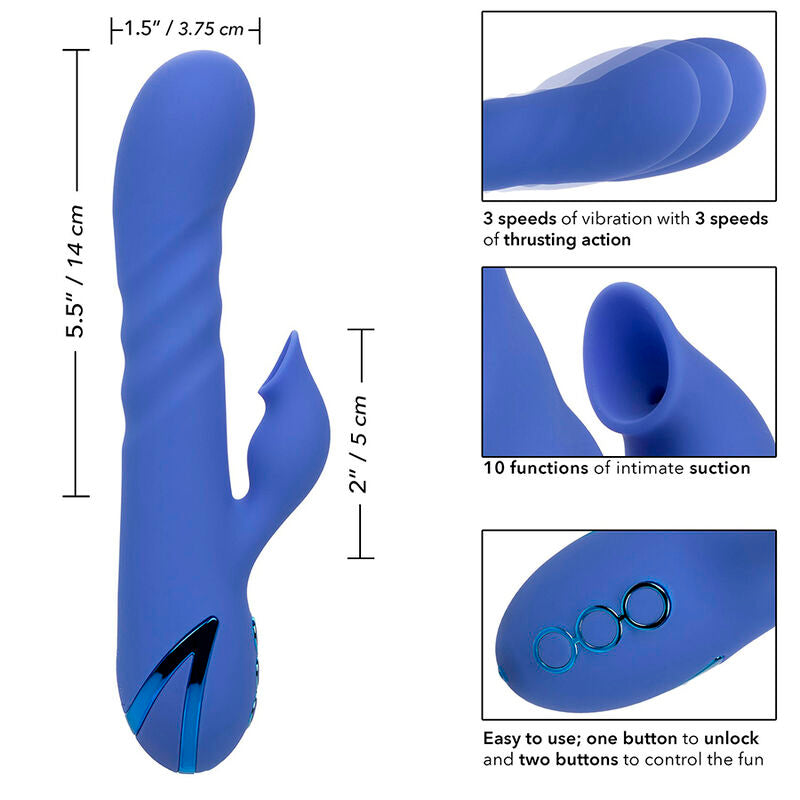 CALEXOTICS - LA LOVE VIBRATOR & SUCKER BLAU VON CALIFORNIA DREAMING - Sexotim