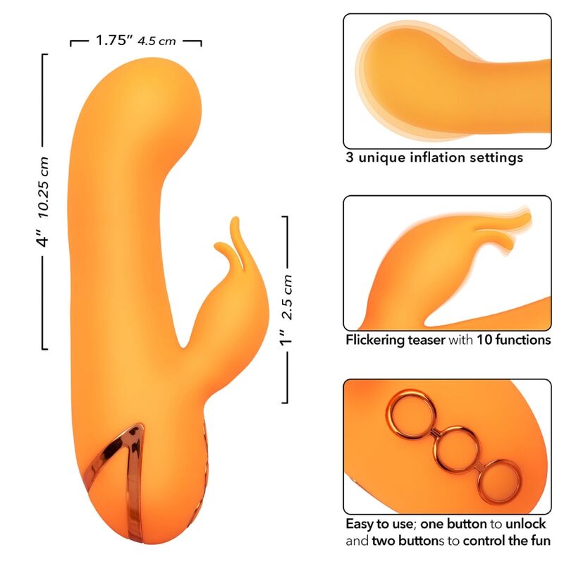 CALEXOTICS - MONTECITO MUSE VIBRATOR RABBIT ORANGE VON CALIFORNIA DREAMING - Sexotim