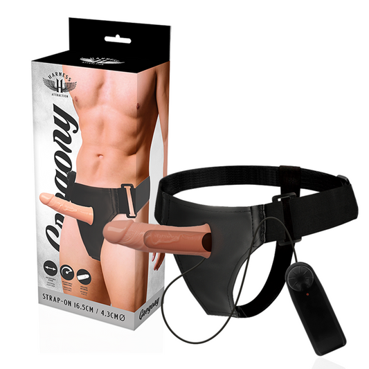 HARNESS ATTRACTION - GREGORY HOLLOW RNES MIT VIBRATOR 16.5 CM -O- 4.3 CM - Sexotim