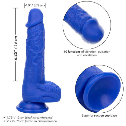 CALEXOTICS - ADMIRAL SAILOR REALISTISCHER DILDO-VIBRATOR BLAU - Sexotim