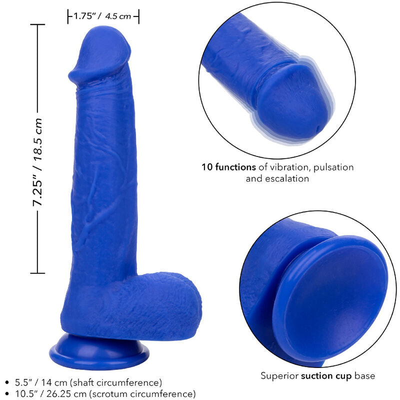 CALEXOTICS - ADMIRAL KAPITN REALISTISCHER DILDO-VIBRATOR BLAU - Sexotim
