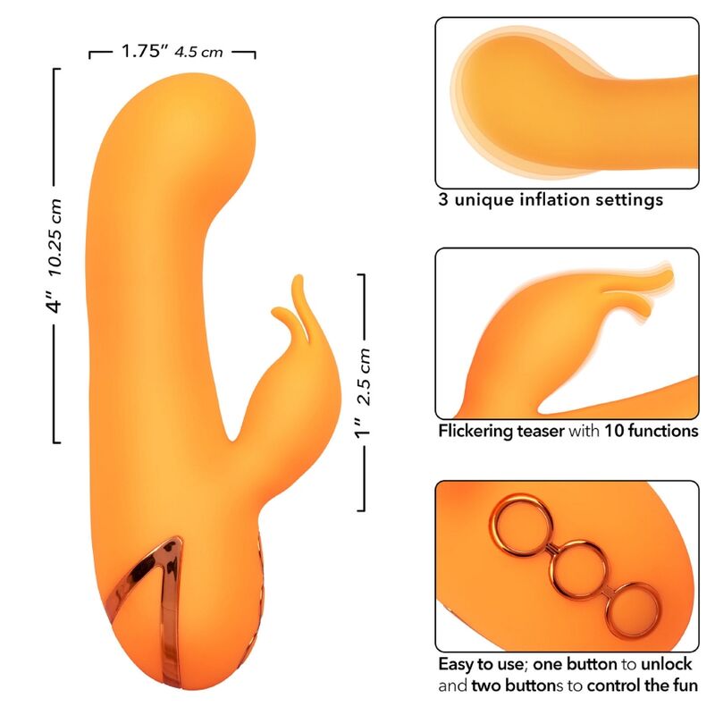 CALEXOTICS - MONTECITO MUSE VIBRATOR RABBIT ORANGE VON CALIFORNIA DREAMING