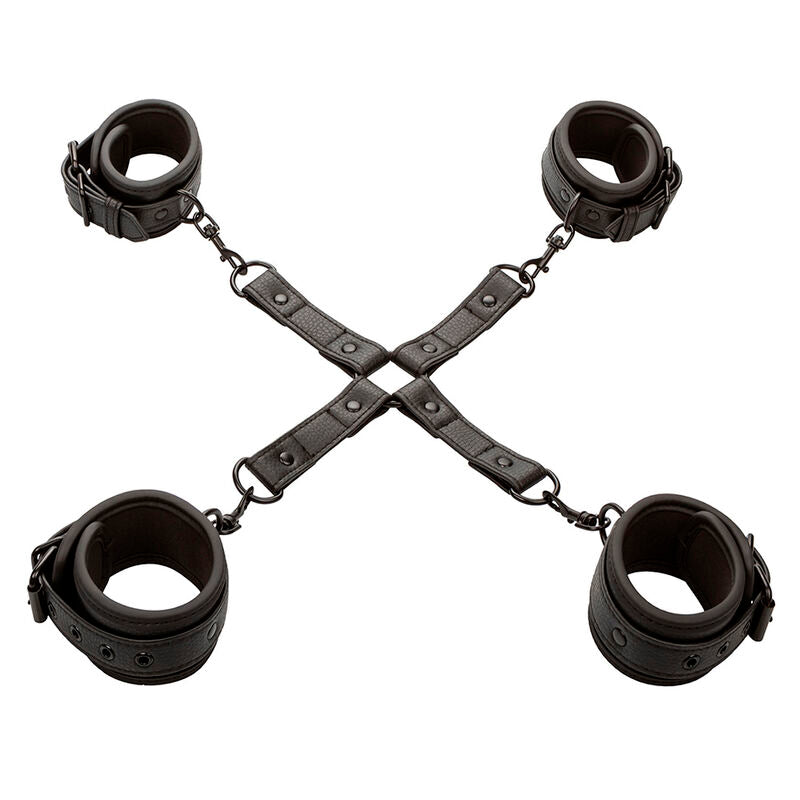 CALEXOTICS - NOCTURNAL HOG TIE CONNECTOR CUERO VERSTELLBAR SCHWARZ - Sexotim