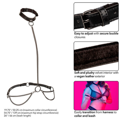 CALEXOTICS - EUPHORIA KETTENHALFTERHALSBAND UND LEINE GROßE GRÖßE - Sexotim