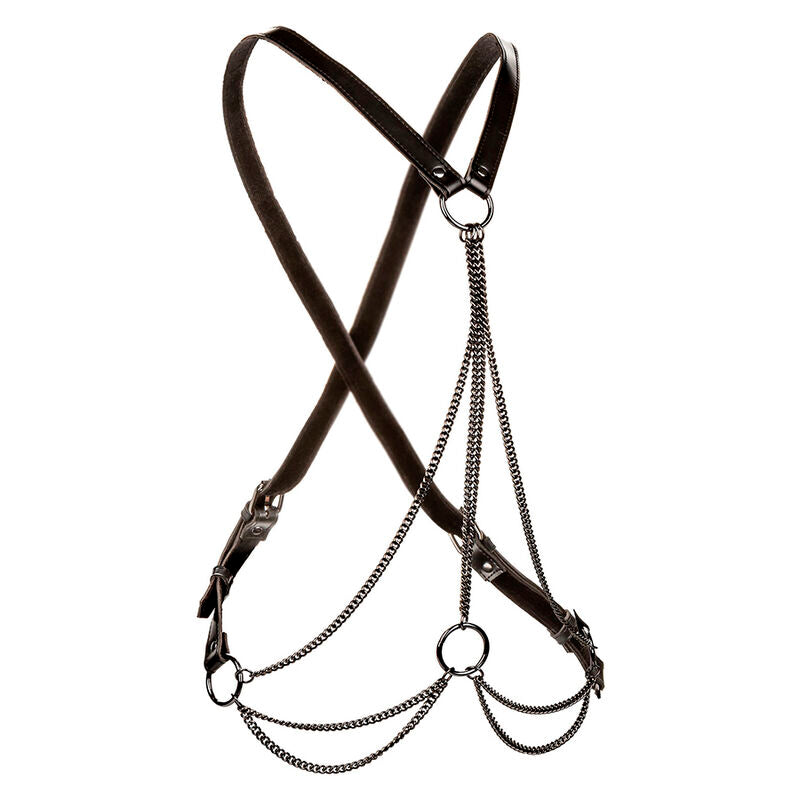 CALEXOTICS - EUPHORIA MULTICHAIN HARNESS PREMIUM ÜBERGRÖSSE - Sexotim