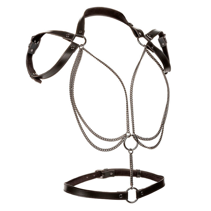 CALEXOTICS - EUPHORIA MULTICHAIN HALTER HARNESS PREMIUM GROSSE GRÖSSE - Sexotim
