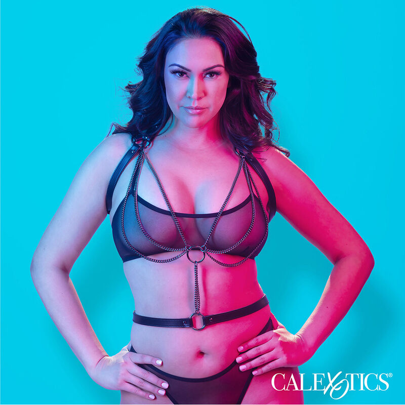 CALEXOTICS - EUPHORIA MULTICHAIN HALTER HARNESS PREMIUM GROSSE GRÖSSE - Sexotim