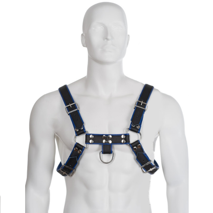 LEATHER BODY - BRUST BULLDOG HARNESS SCHWARZ / BLAU LEDER - Sexotim