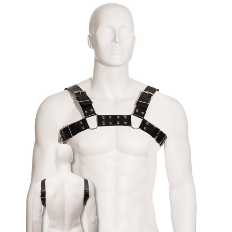 LEATHER BODY - SCHWARZ BULL DOG HARNESS - Sexotim